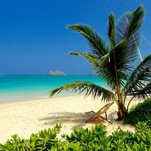 Brand New Kailua Beach USA